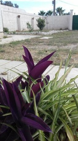 Stanze Nel Verde - Photo5
