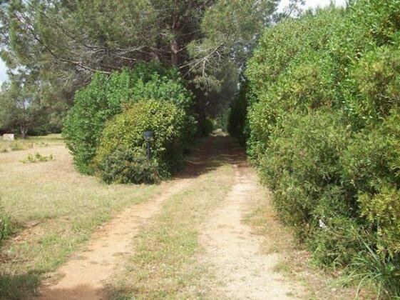Villa Zena - Photo5
