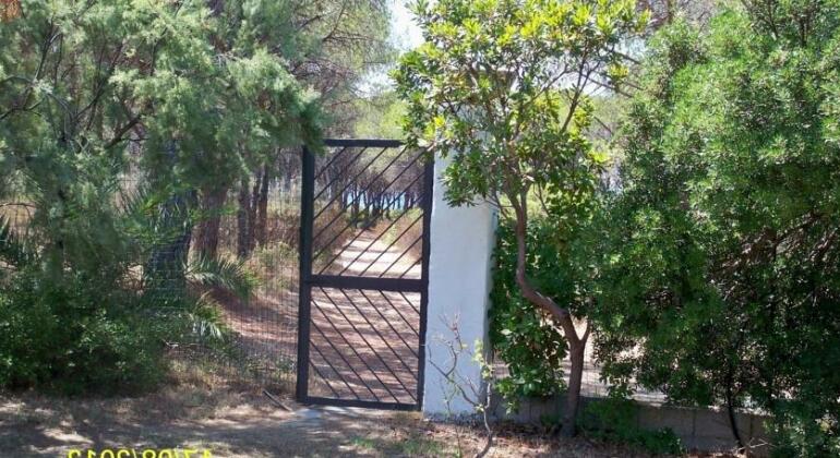 Sardinia Flower Villas - Photo3