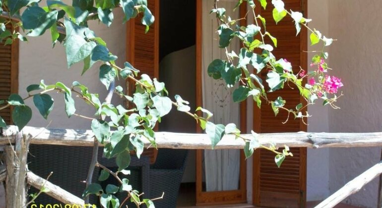 Sardinia Flower Villas - Photo5