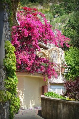 Positano Holidays - Photo2