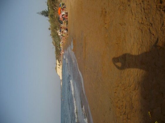 Al tegolaio - Photo5