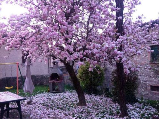 La Casa Di Campagna Sul Garda - Photo3