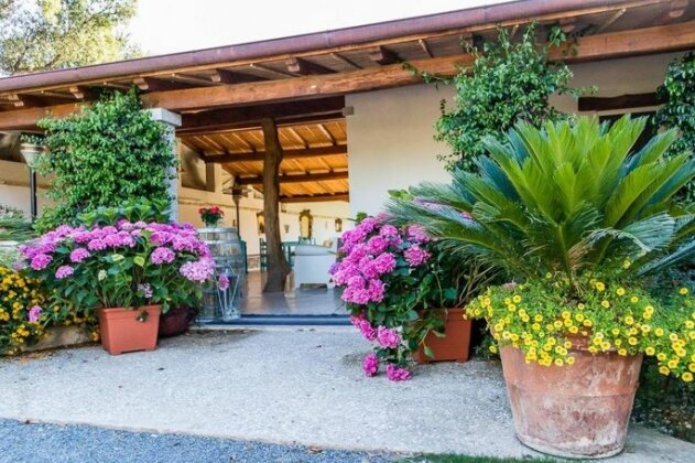 Piccolo Ranch - Photo2