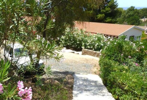 Verde - Photo2
