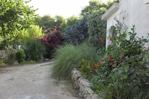 B&B Salento - Photo3