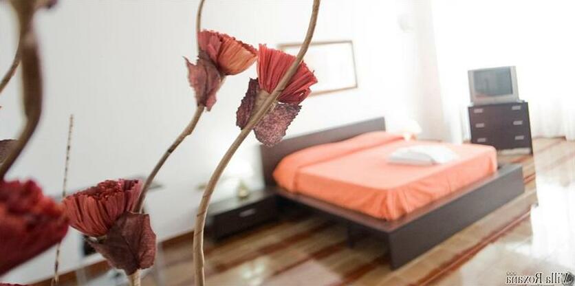 Hotel Villa Roxana - Photo4
