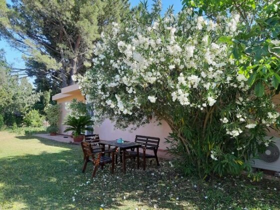 Casa Bassotto - Photo5