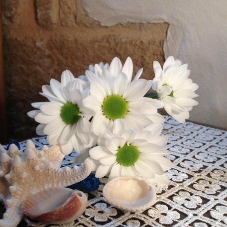 Rustichello - Photo3