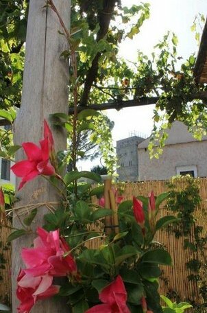 Gelsomino Rooms Ravello - Photo3