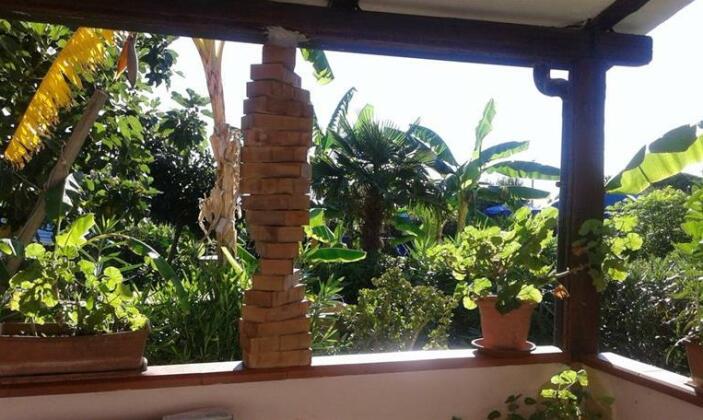 El Banano - Photo5