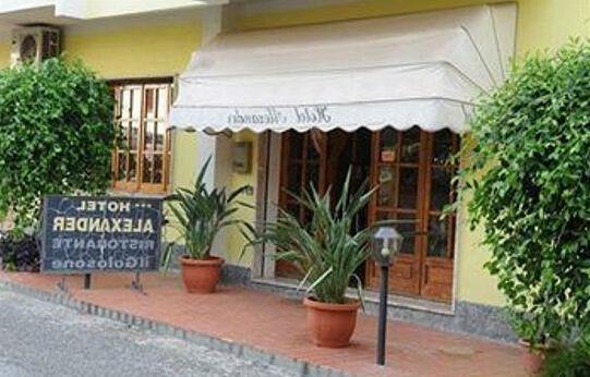 Hotel Alexander Ricadi - Photo5