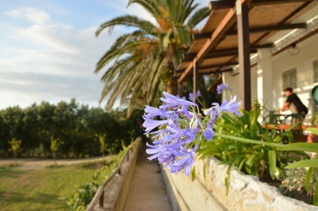 Residence La Meridiana Ricadi - Photo3