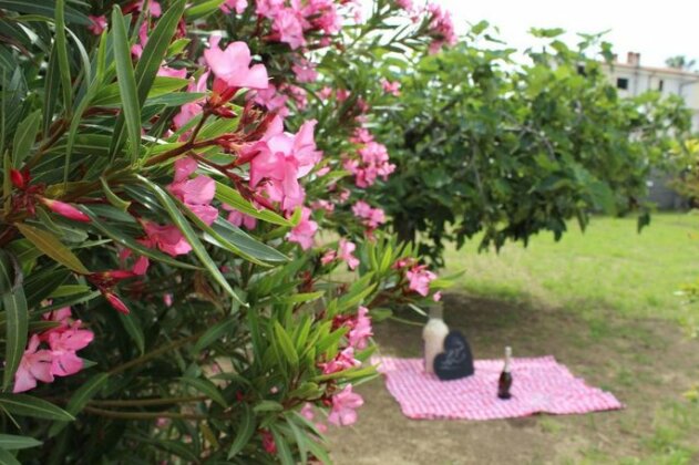 Villa Azzurra Ricadi - Photo2