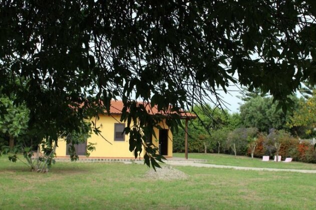 Villa Azzurra Ricadi - Photo3