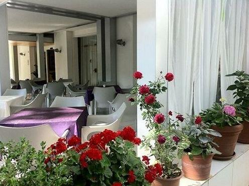 Hotel Nuova Riccione - Photo4