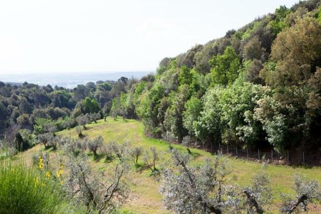 Casa al Pino - Photo5