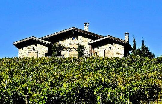 Valdonica Winery & Vineyard Residence
