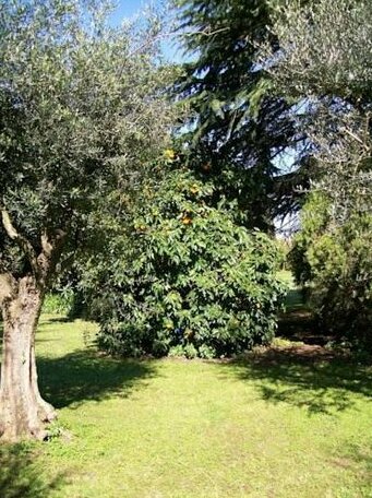 Casale di Caccia - Photo4