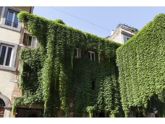 IVY - Romantic In Rome Apartments - Photo3
