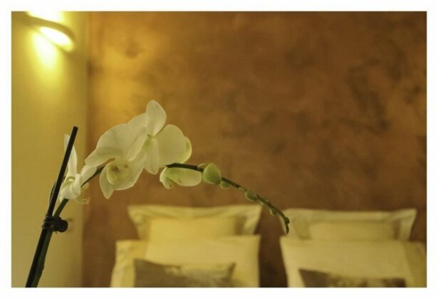 Bed & Books il Campanile - Photo3