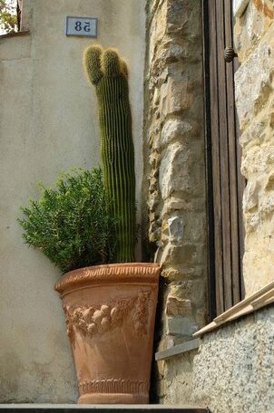 Da Ciletta - Photo2