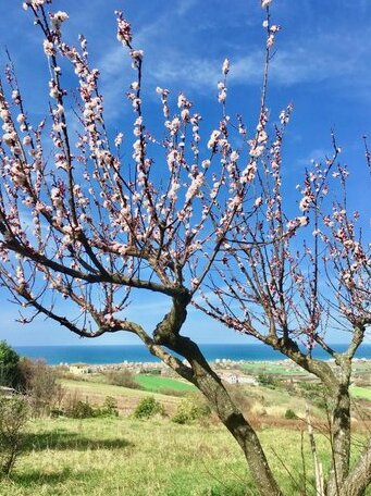 L'Oasi felice - Photo3