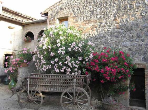 Fattoria San Donato - Photo5