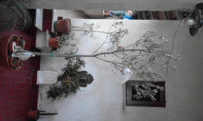 Casa Magda - Photo3