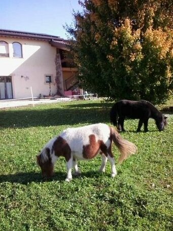 Agriturismo Ca' Del Ferro - Photo2