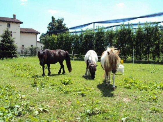 Agriturismo Ca' Del Ferro - Photo5