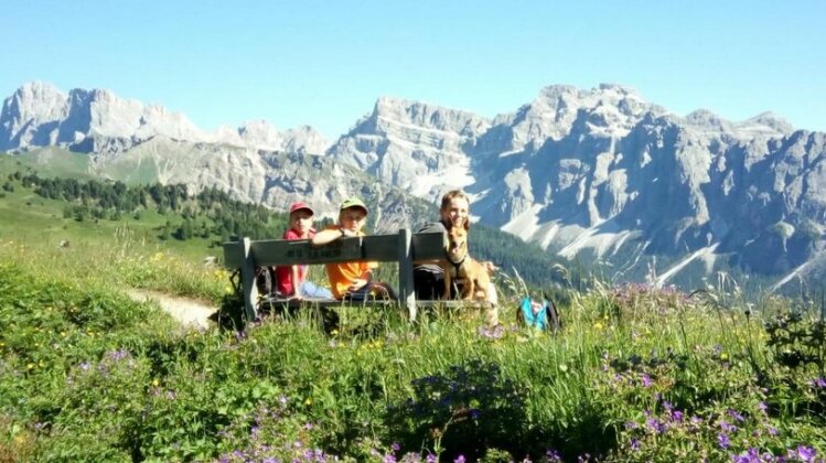 Belodei - Photo5