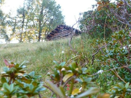 Haus Dejaco - Photo4