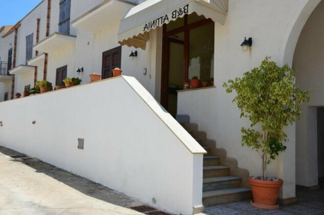 Attinia - Photo2
