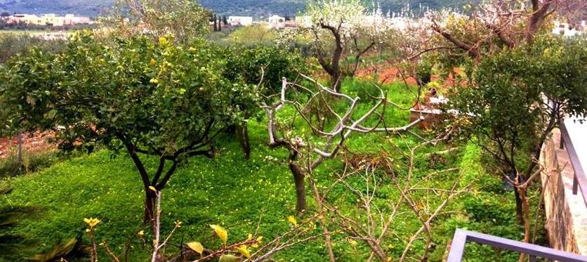 Villino Rustico - Photo5