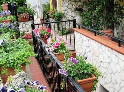 Luna B&B Sangineto - Photo2