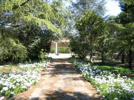 Villa Letizia - Photo3