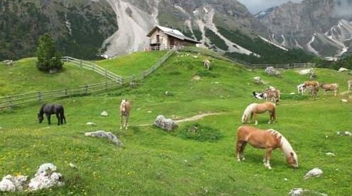 Garni Le Chalet - Photo4