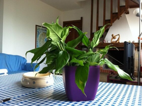 Casa Pinuccia - Photo4