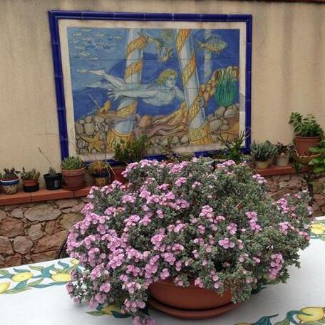 Colapesce - Photo2