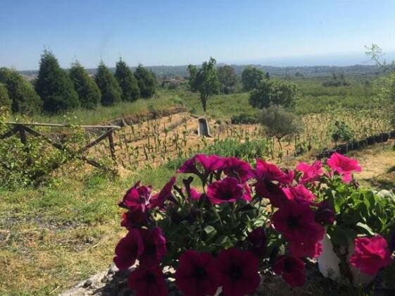Le Cinque Botti - Photo4
