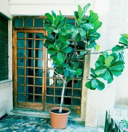 Casa Linda Sant'Antioco - Photo2