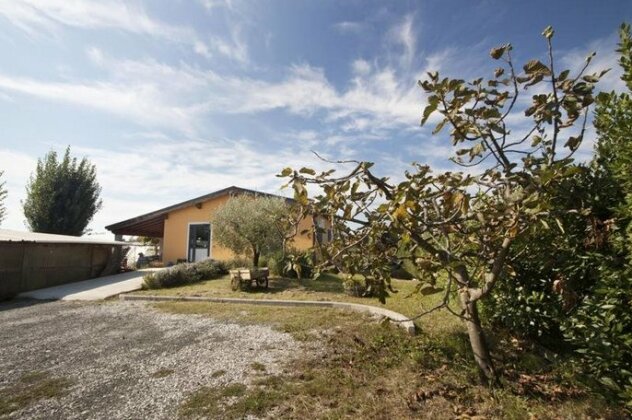 L'OrtoBio - Photo3