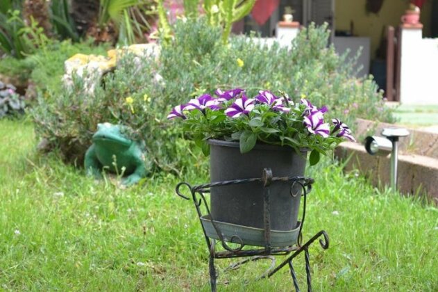 B&B Giosy - Photo5