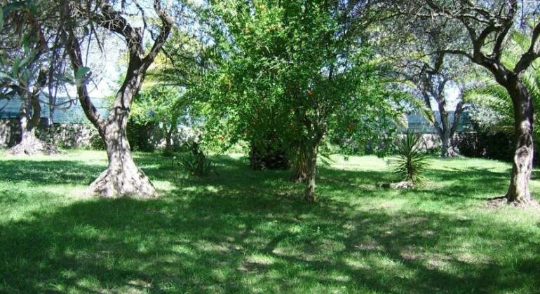 B&B Villagraziella - Photo5
