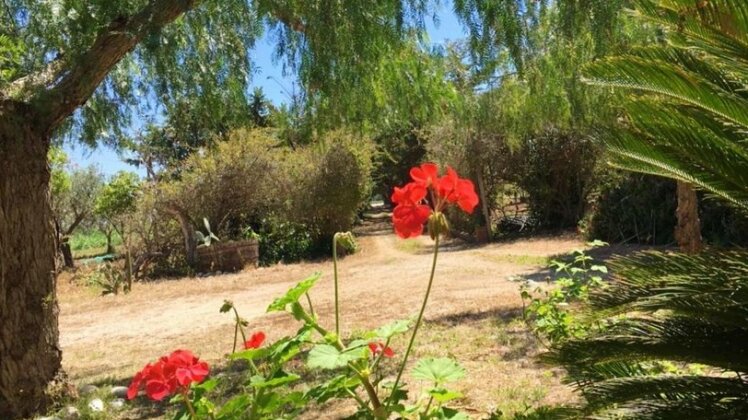 Holiday home Strada Provinciale - Photo5