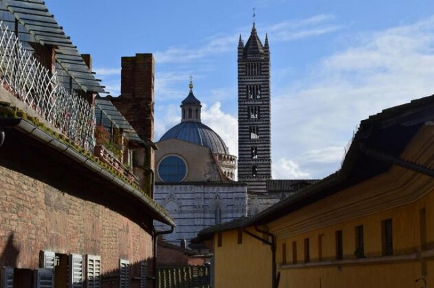 Siena Centro Civetta