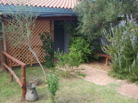 L'Ulivo - Photo5