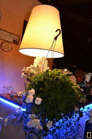 Country House Villa di L'Abbiu - Photo5