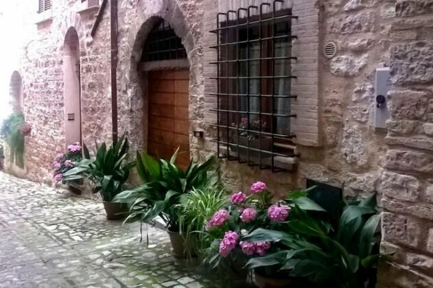 Splendido Monolocale Spello - Photo4